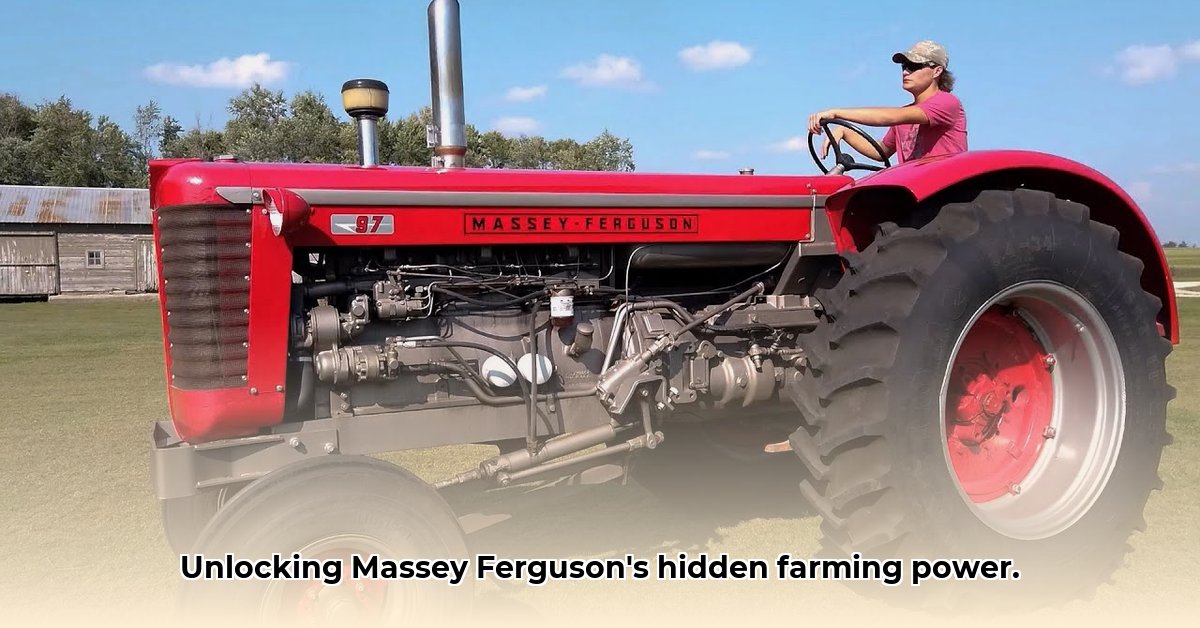 old-massey-ferguson-tractors